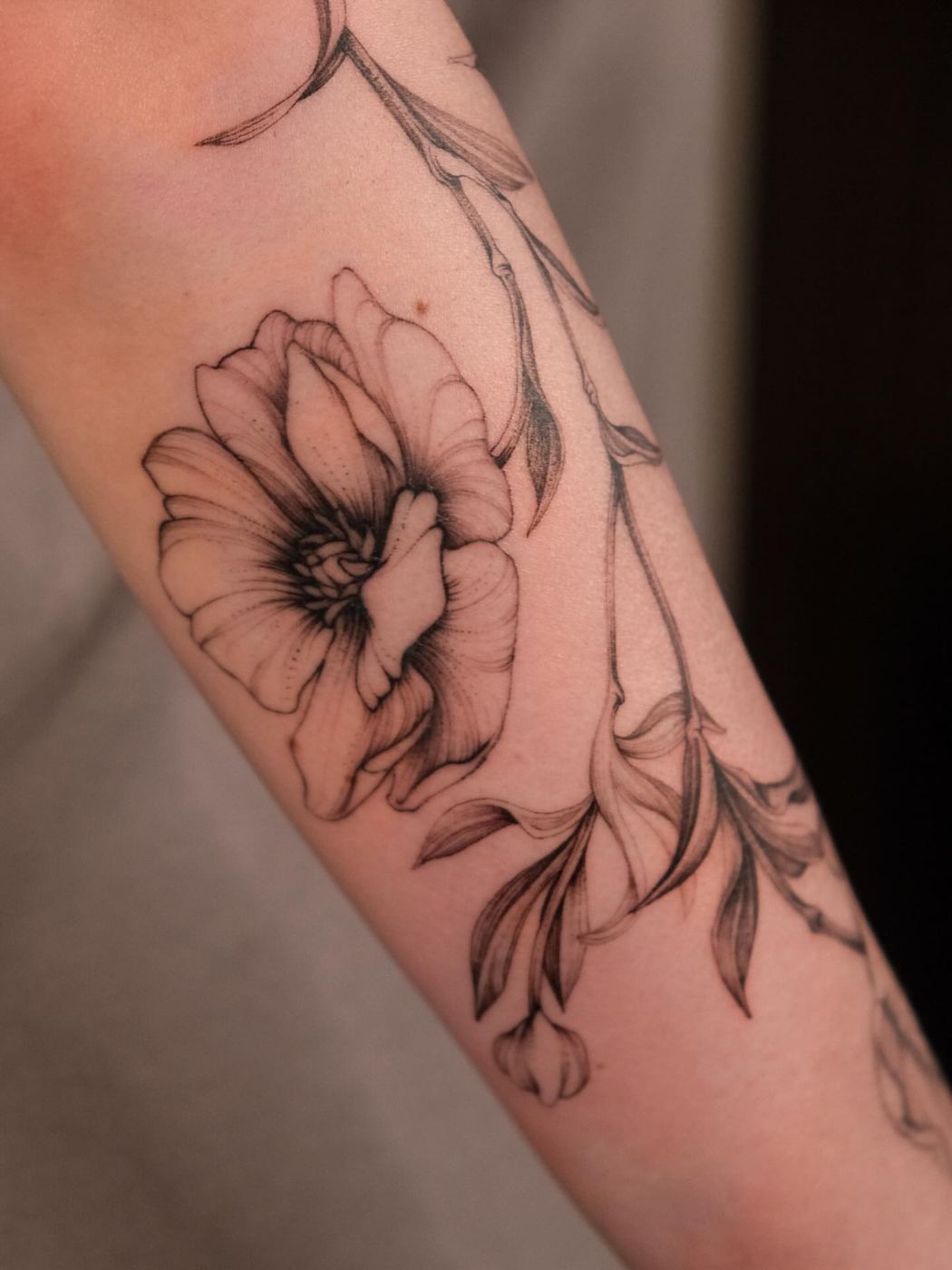 NASH 刺青作品:蝴蝶陸蓮(Ranunculus Butterfly)