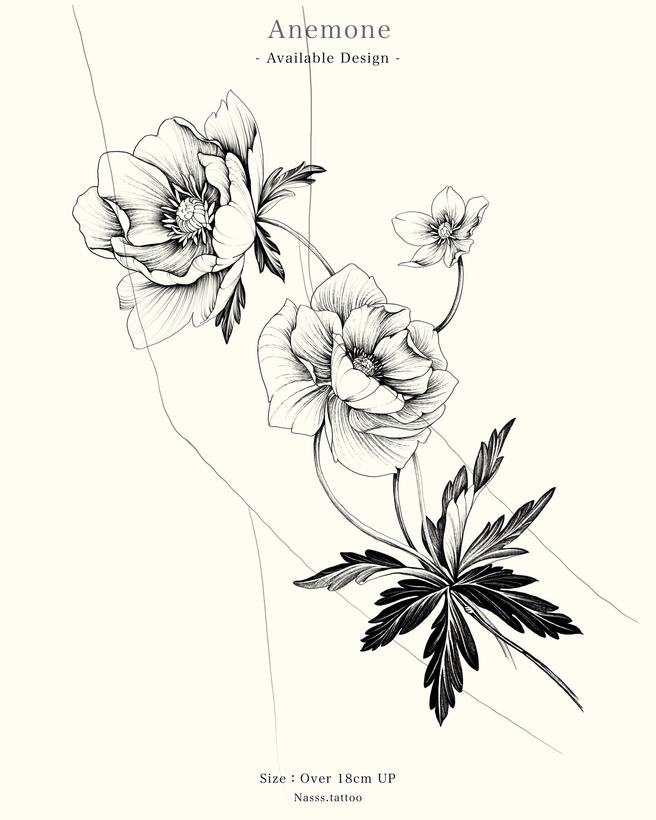 NASH 過往認領圖:銀蓮花